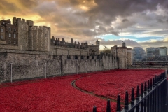 Blood-swept lands Tower of London-1