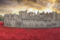 Blood-swept lands Tower of London-2