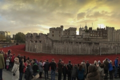 Blood-swept lands Tower of London-5