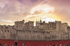 Blood-swept lands Tower of London-6