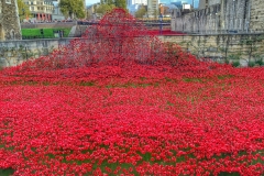 Blood-swept lands Tower of London-7