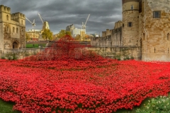 Blood-swept lands Tower of London-8