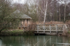 London Wetland Centre-8